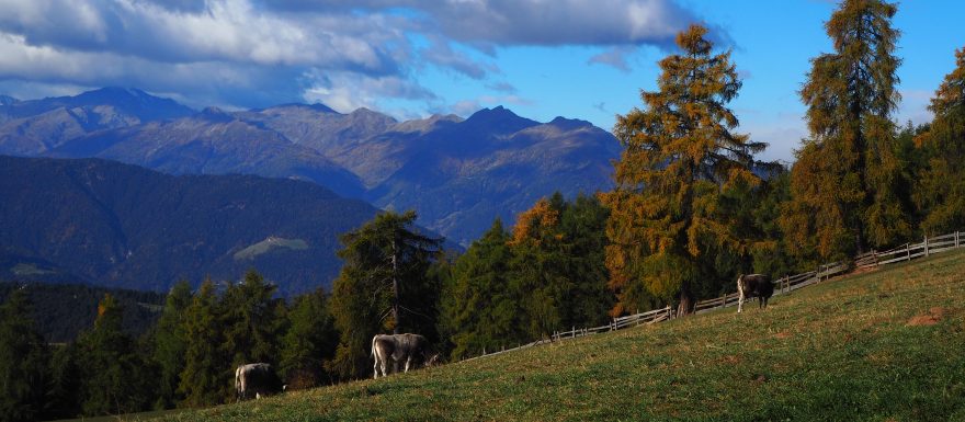 Zakusit běžný život na jihotyrolském statku přináší zážitky pro děti i dospělé