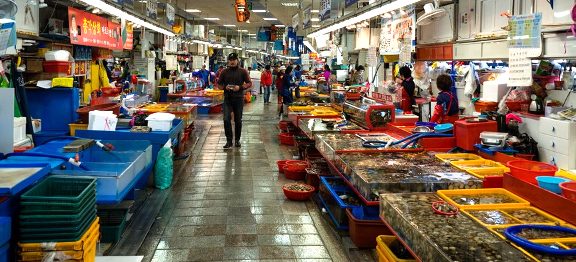 Hektický Busan: město, které zavání rybinou