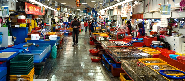 Hektický Busan: město, které zavání rybinou