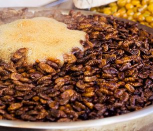 Festivalová Jižní Korea: svátky kvetoucích třešní, rovnodennost a oslavy čaje či dobrého jídla