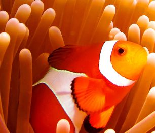 Je čas vyrazit na cestu! S průvodci od Lonely Planet se ve světě neztratíte