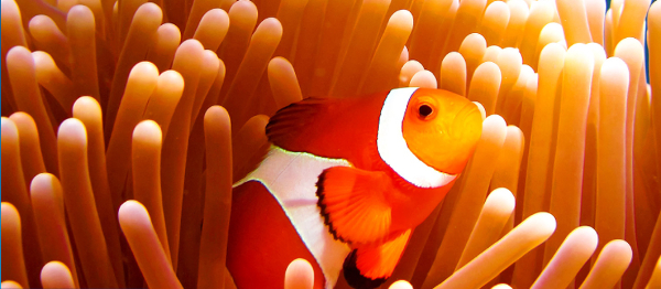 Je čas vyrazit na cestu! S průvodci od Lonely Planet se ve světě neztratíte