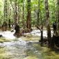 Vydejte se do džungle nedaleko thajského Krabi a objevte Horký pramen nebo Smaragdové jezírko