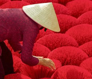 Novinky z české edice průvodců Lonely Planet – průvodce Thajskem a Vietnamem 