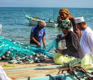 CK HORY: Vydejte se do okouzlující země kadidla!