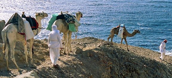 Pět knih poutníka Mojžíše pohledem cestovatele aneb Tóra jako nejstarší cestopis odhalující smysl Cesty
