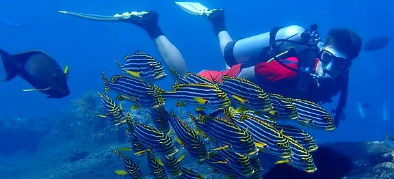 Moluky, ostrovy provoněné muškátovým oříškem a hřebíčkem, jsou klenotem potápěčů