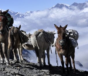 Plánujete vysokohorský trek? Nezapomeňte na pojistku!