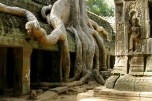 Které chrámy v kambodžském Angkoru rozhodně nevynechat?