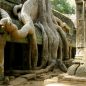 Které chrámy v kambodžském Angkoru rozhodně nevynechat?