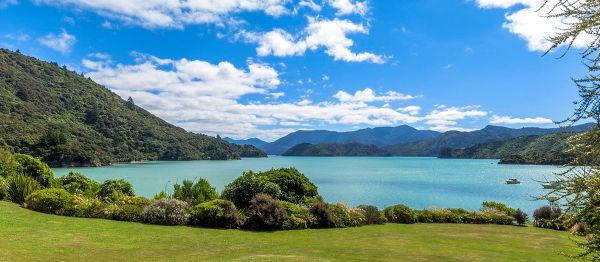 ROZHOVOR: Martin Slíva – jednooký Čech je králem mezi slepými Kiwi