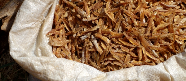 ETNOKUCHYNĚ: Ochutnejte úžasná „risota“ po asijsku