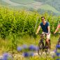 Procestujte sousední Německo na dvou kolech aneb několik tipů na místní cykloturistiku