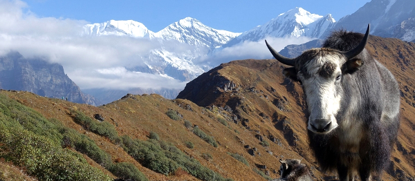 ROZHOVOR: O firmě SANU BABU s jejími majiteli Ivanem a Jeny Marusičovými