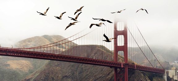 Nejkrásnější treky kolem slavného kalifornského Golden Gate v San Franciscu