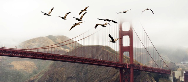Nejkrásnější treky kolem slavného kalifornského Golden Gate v San Franciscu