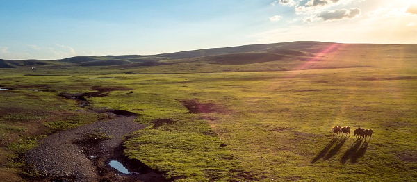 FOTOREPORTÁŽ: Z nekonečných mongolských stepí a planin vykukují malé jurty
