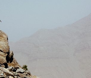 Jak na vlastní pěst zdolat nejvyšší horu Emirátů Džabal Bil Ajs v pouštním pohoří Al-Hadžar