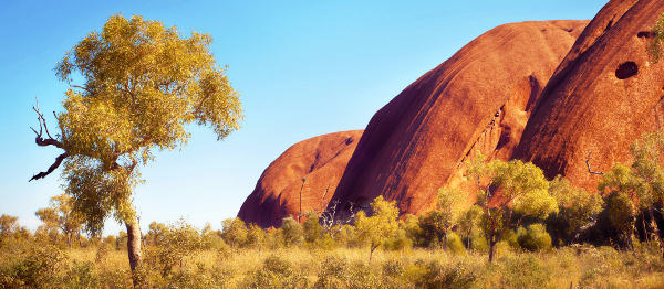 ROZHOVOR: Marcel Žitník – V Austrálii nikoho předem nesoudí. Záleží, co člověk umí