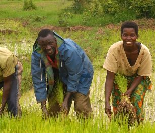 „Kde jiní končí, my začínáme.“ Češi spouští v Tanzanii malou zemědělskou revoluci