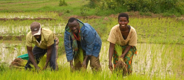„Kde jiní končí, my začínáme.“ Češi spouští v Tanzanii malou zemědělskou revoluci