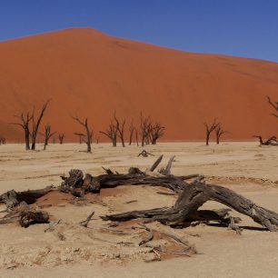 Poušť Namib - Dead Vlei, Namíbie.