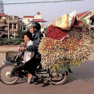 Transport na tisíc různých způsobů
