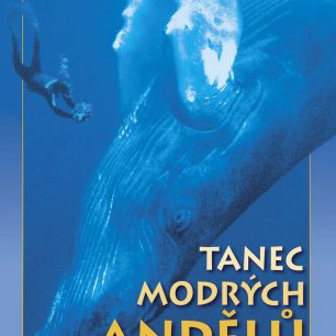 Kniha Tanec modrých andělů