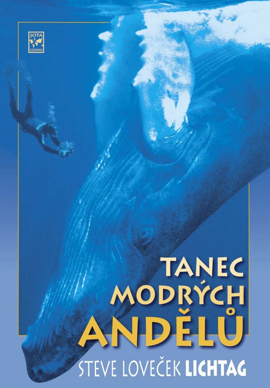 Kniha Tanec modrých andělů