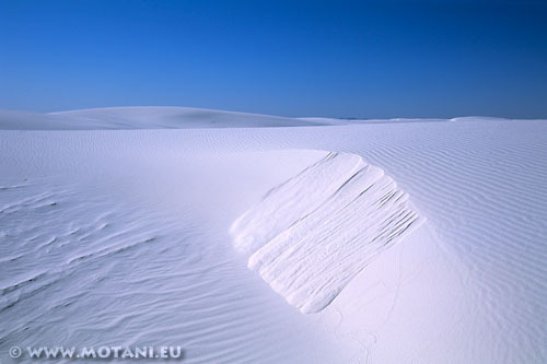 Bílé duny vysoké okolo 15 metrů jsou v neustálém pohybu.