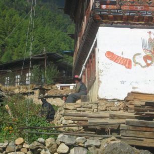 Malba na jednom z domů v Paru