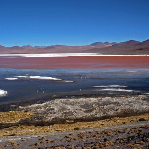 Laguna Colorada
