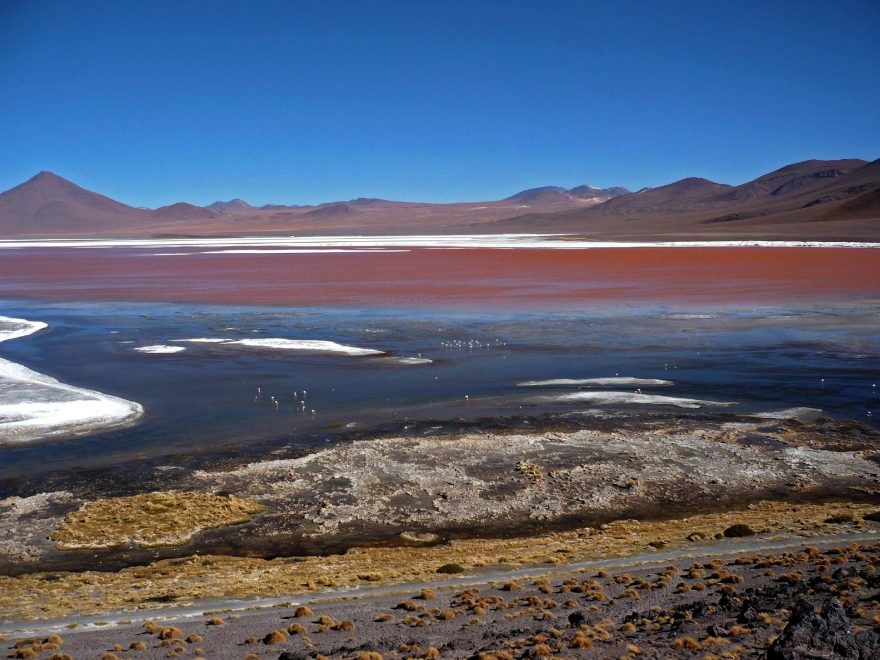Laguna Colorada
