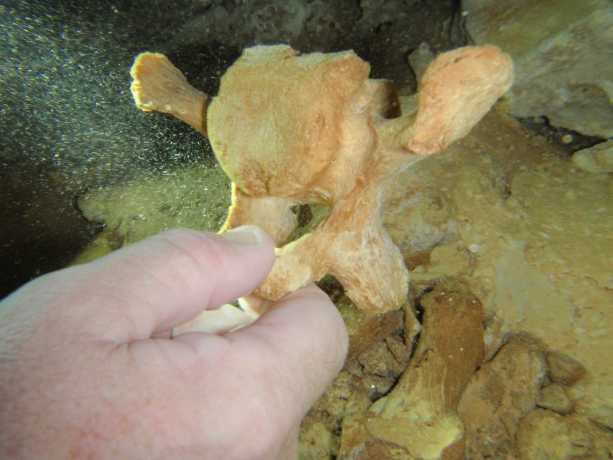 Expedice Xibalba, Mexiko