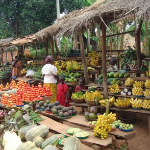 Trh s dobrotami, Uganda, Veronika Patrovská-Vernerová