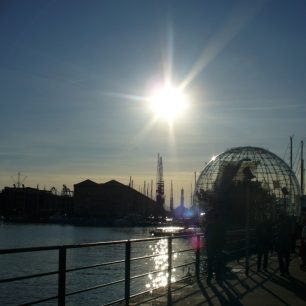 Janov, Linda Mannelová