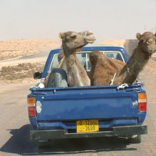 Libye, hurá stěhujeme se, Andrea Kaucká