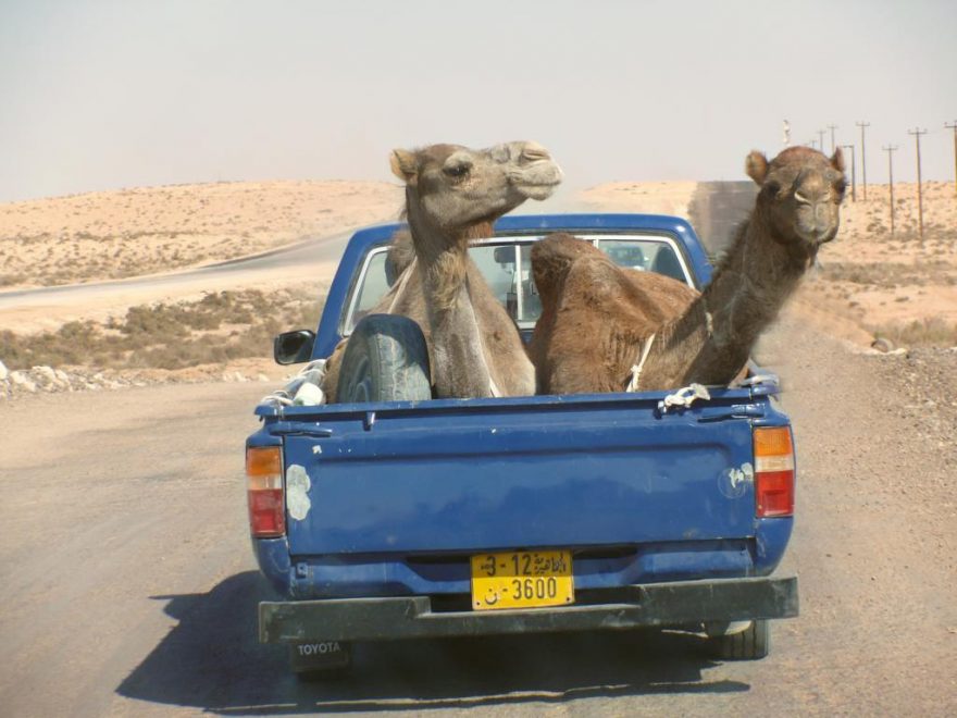 Libye, hurá stěhujeme se, Andrea Kaucká