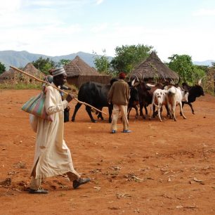 Lidé z etnika Fulani, Kamerun