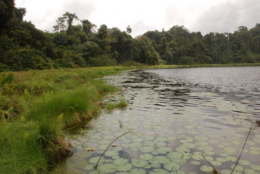 Lake Edib - poetické kráterové jezero, Kamerun