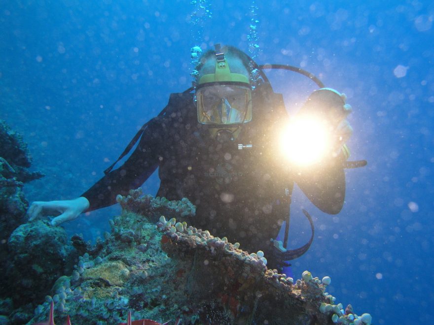 Objevení vraků v místech kde se ještě žádní filmaři nepotápěli, Maledivy