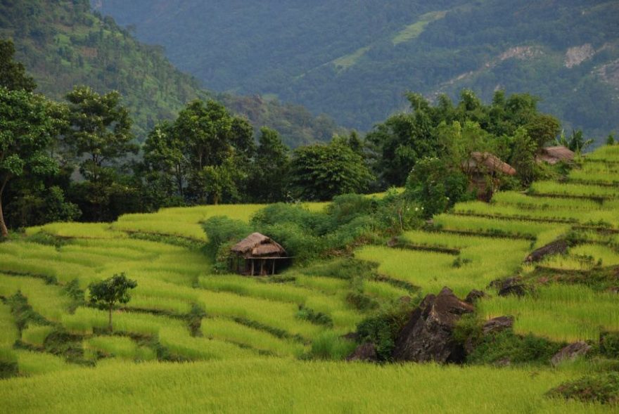 Nepál – úrodné podhůří
