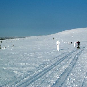 Dva &quot;polárníci&quot;