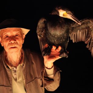 rybolov kormorány, Čína