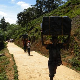 Fungující zásobování bufetů