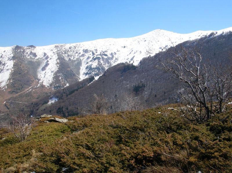 Národní park Pelister