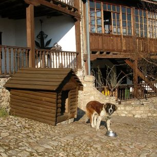 Kláštěrní pes, Treskavec, Makedonie