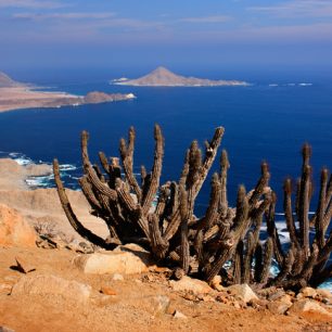 ostrov Isla de Azucar, Chile