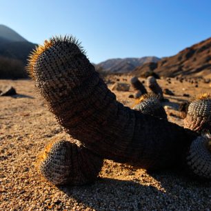 Pan de Azucar, Chile