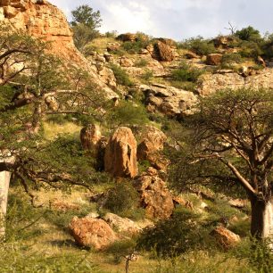 Krajina parku je velmi malebná. Najdete v něm i legendy mezi stromy – baobaby